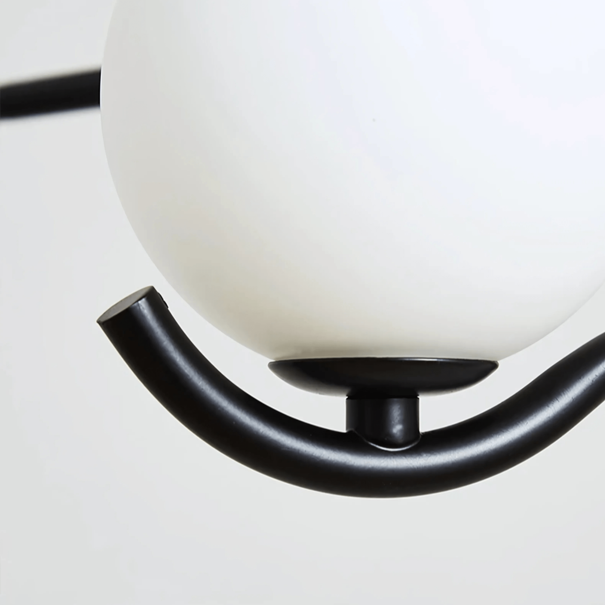 Avalon Collection - Hestia + Co.