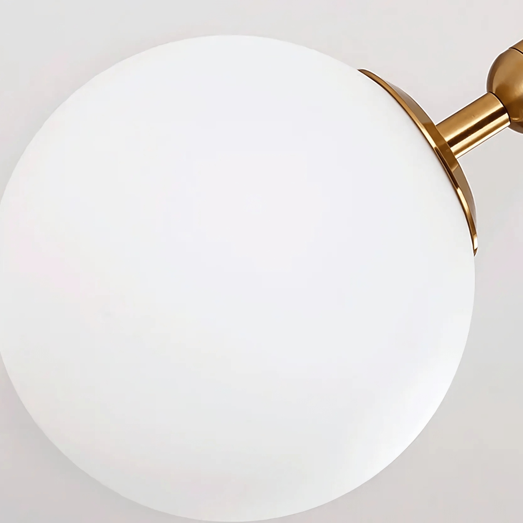 Bauer Collection - Hestia + Co.