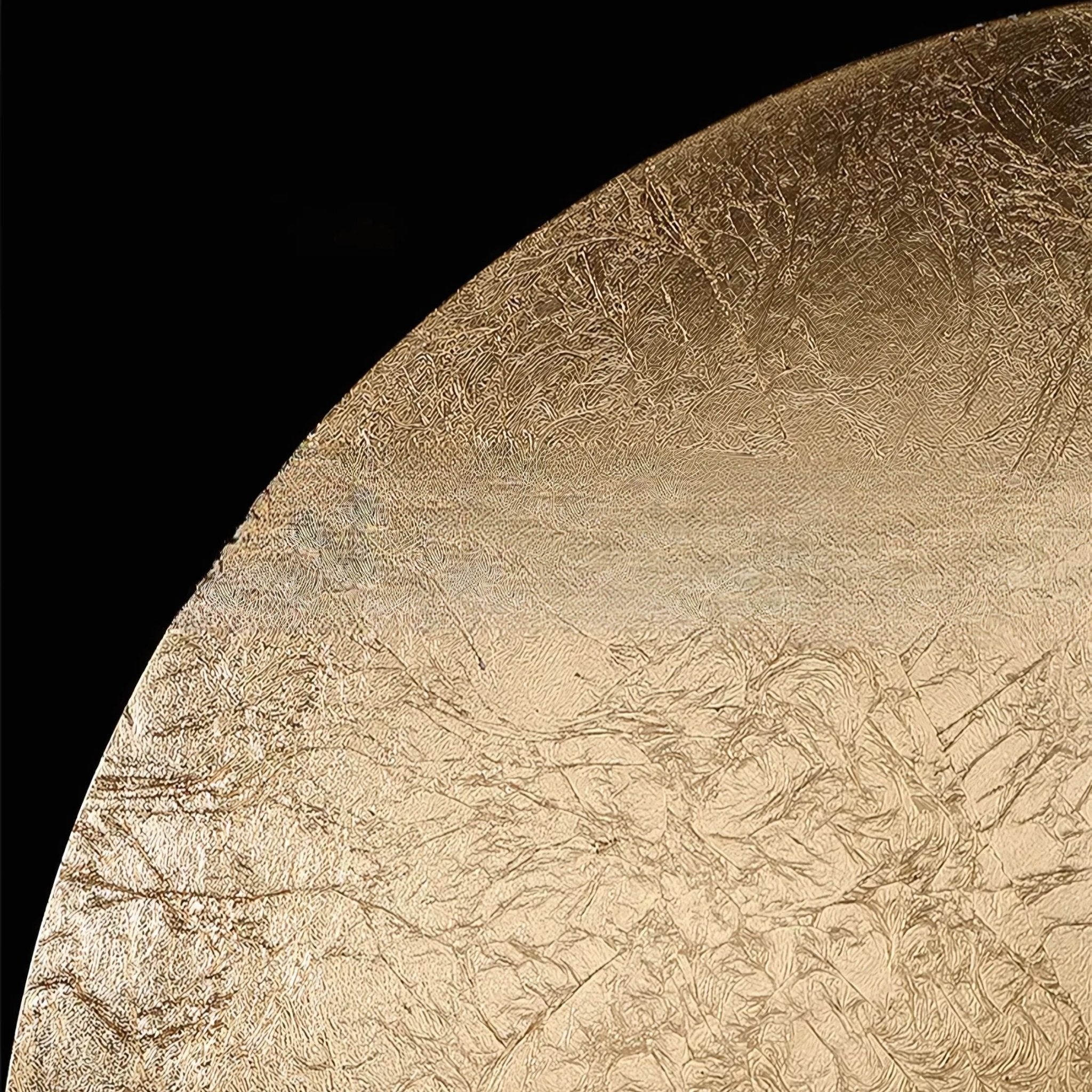 Coronet Collection - Hestia + Co.