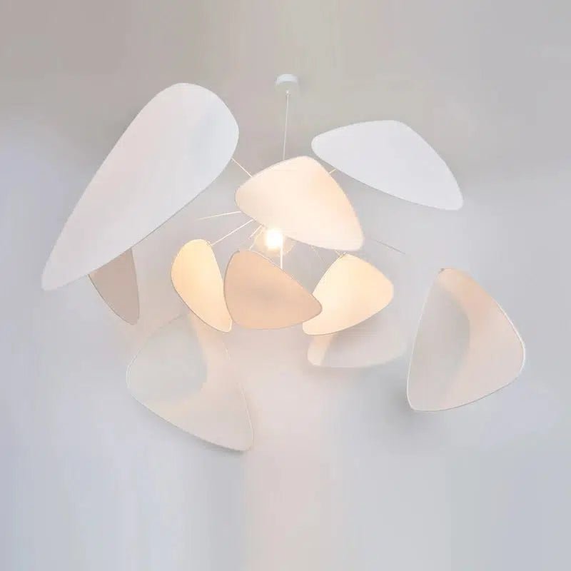 Oaks Collection - Hestia + Co.