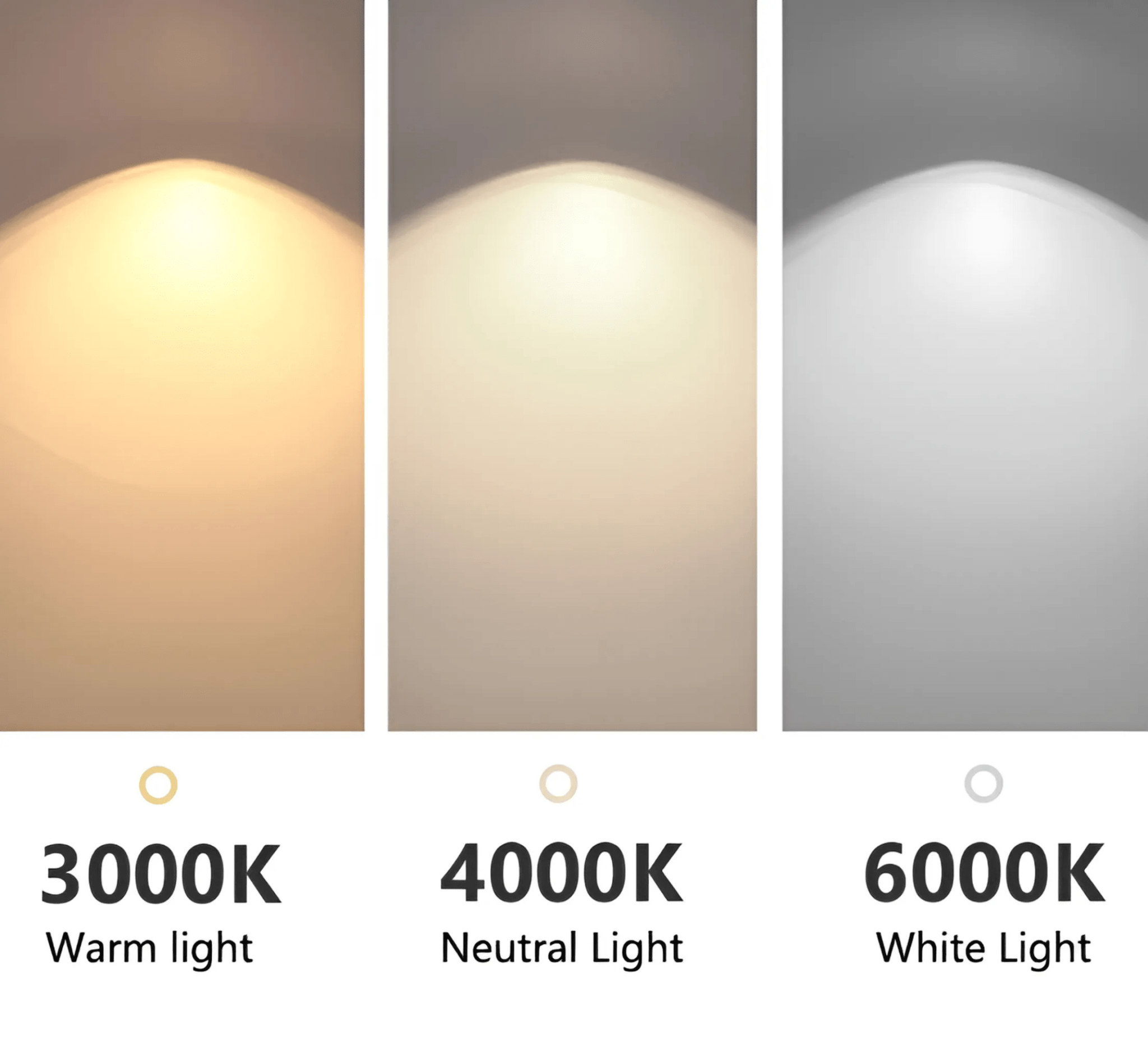 Panorama Collection - Hestia + Co.