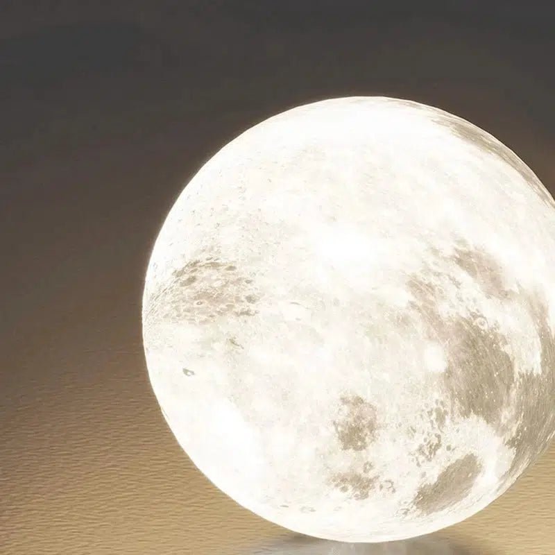 Ascent Collection - Hestia + Co.