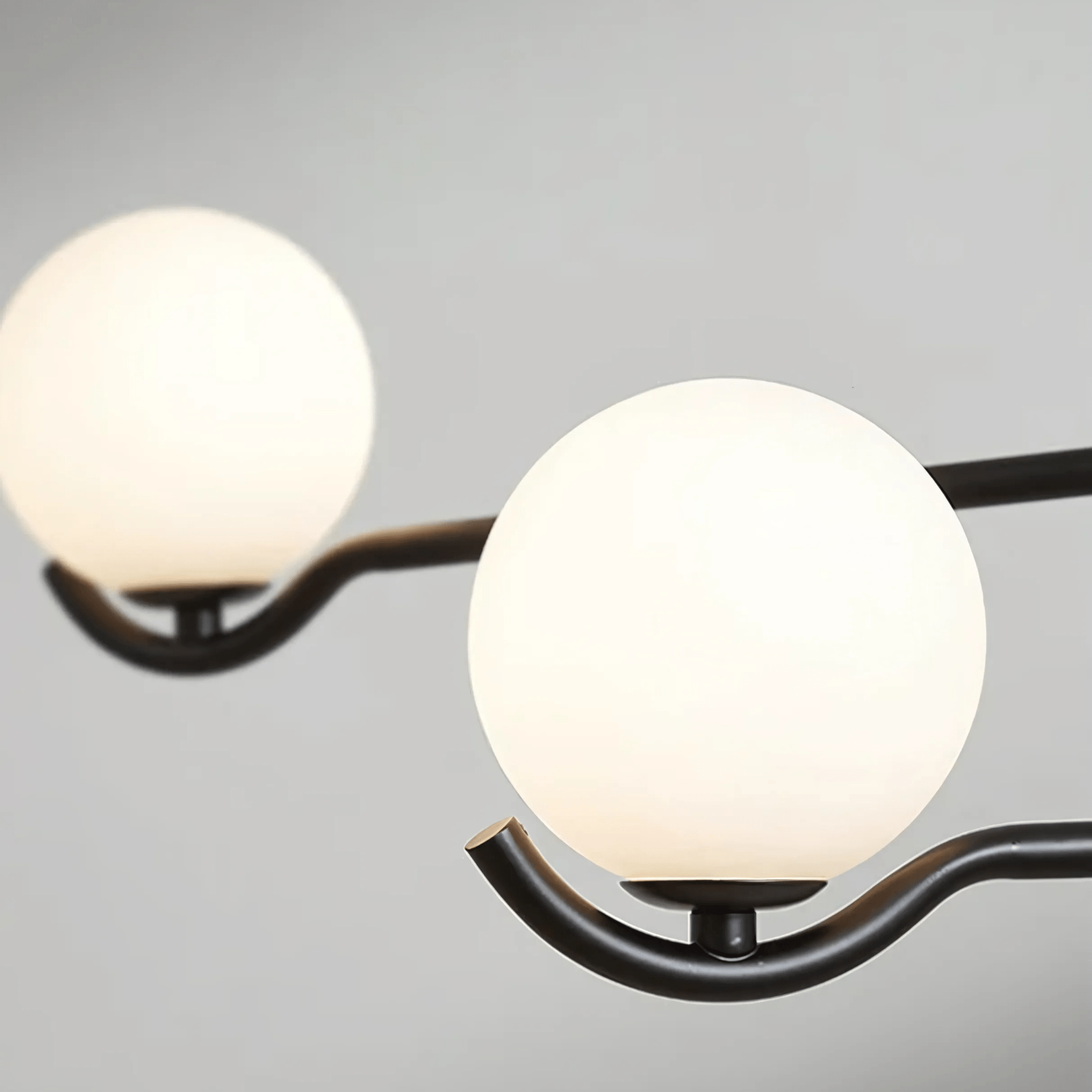 Avalon Collection - Hestia + Co.