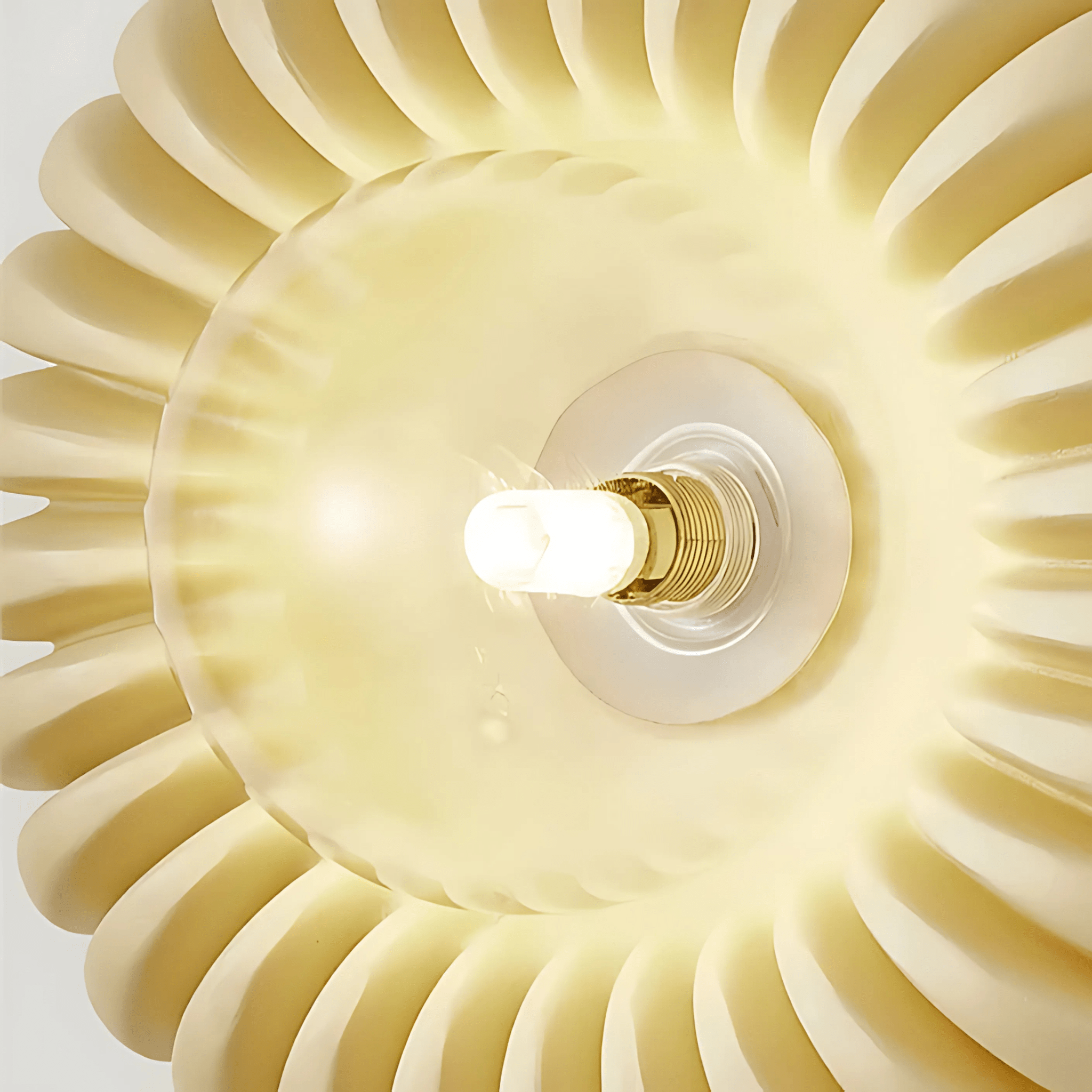 Eden Collection - Hestia + Co.