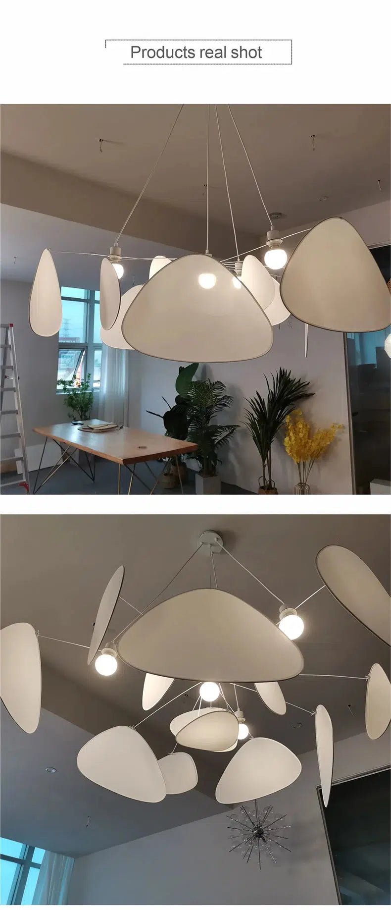 Oaks Collection - Hestia + Co.