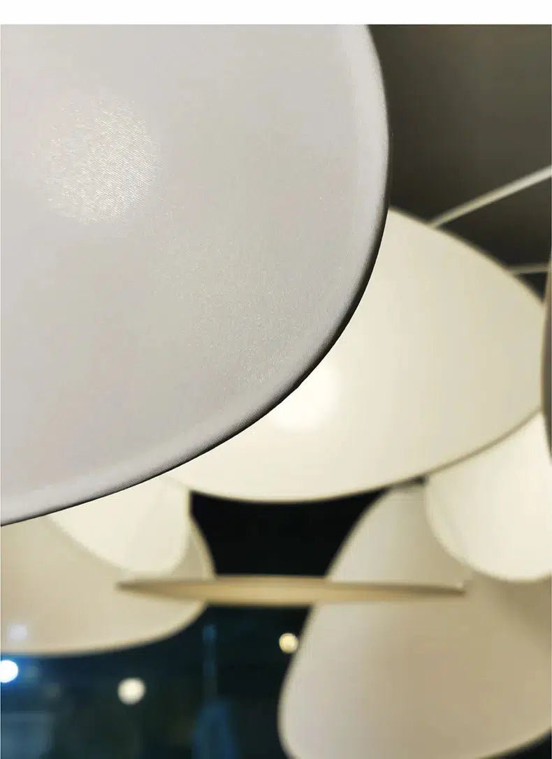 Oaks Collection - Hestia + Co.