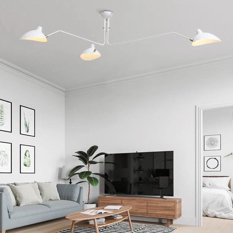 Torrent Collection - Hestia + Co.