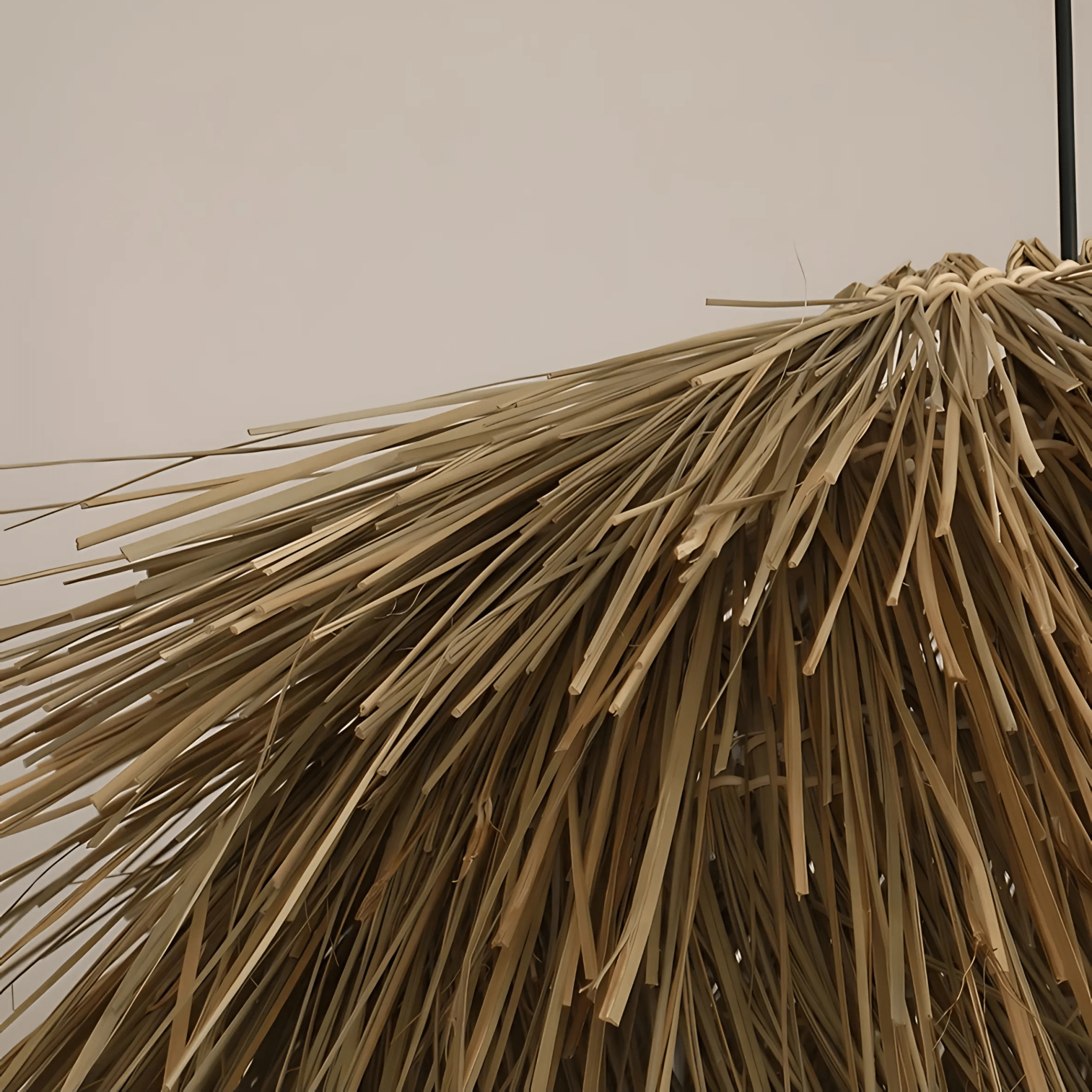 Valencia Collection - Hestia + Co.